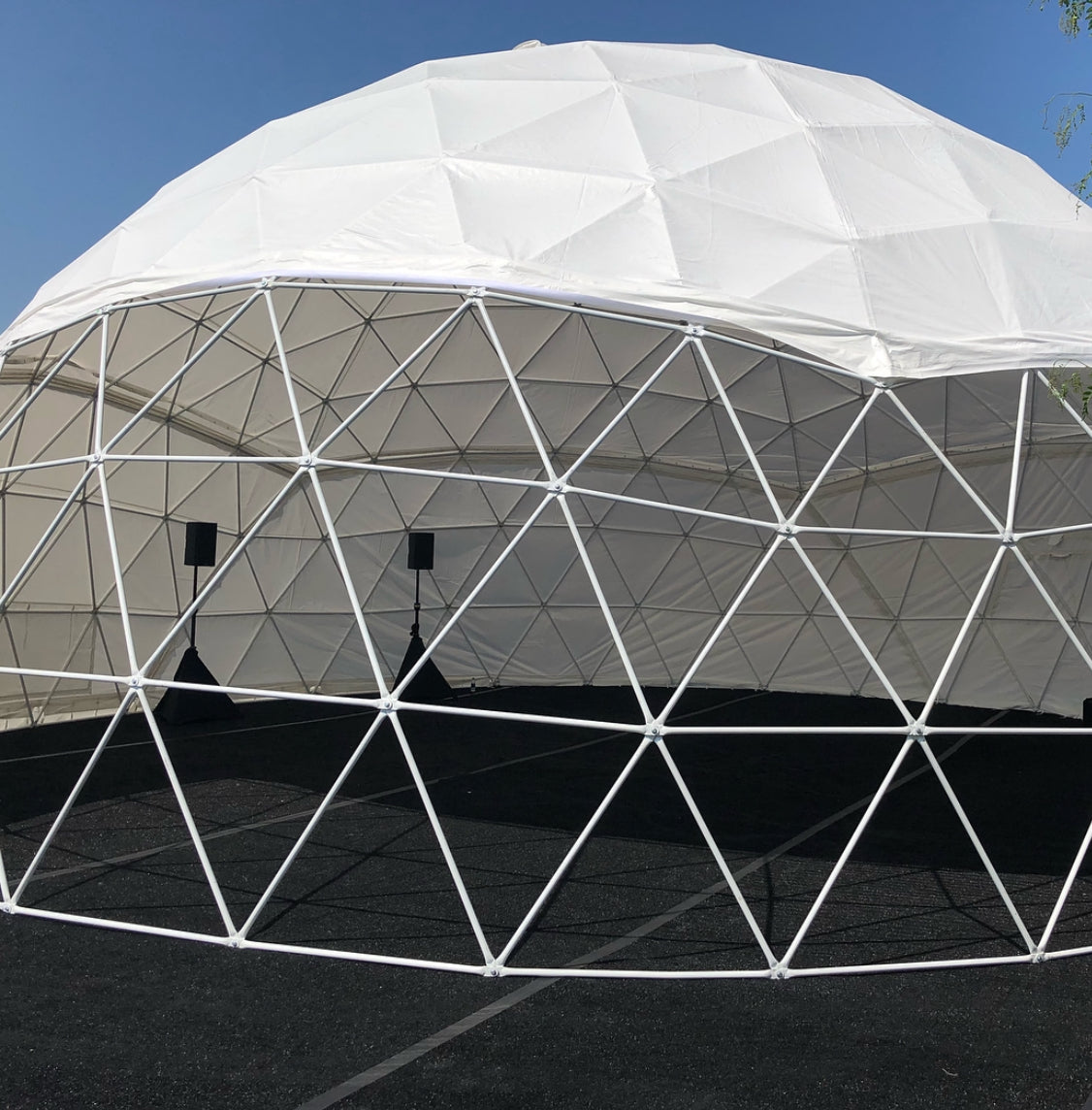 Johnny Geodesic Dome